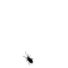 bugif